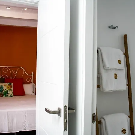 Apartamentos Delmas Apartment